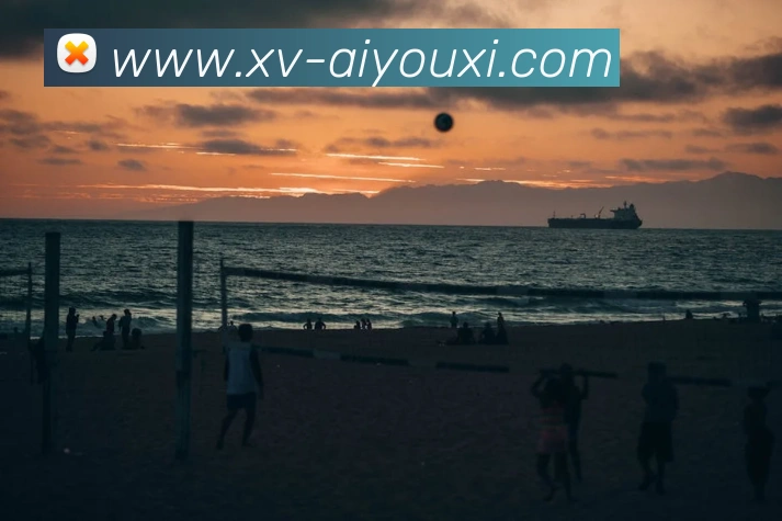 爱游戏APP 封面图